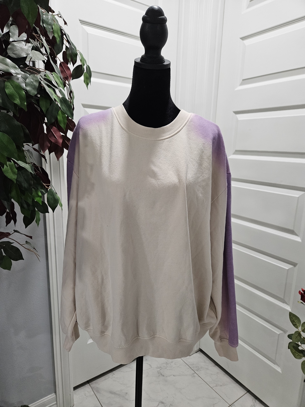 wild fable Cream Pullover with Lavender Shoulder & Sleeve Accents